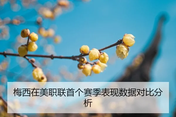 mei-xi-zai-mei-zhi-lian-shou-ge-sai-ji-biao-xian-shu-ju-dui-bi-fen-xi-2-576.jpg