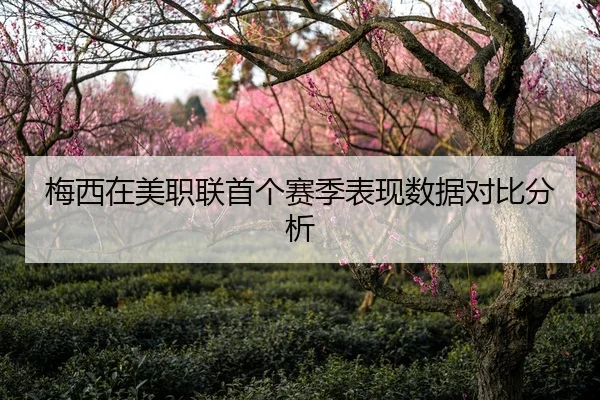 mei-xi-zai-mei-zhi-lian-shou-ge-sai-ji-biao-xian-shu-ju-dui-bi-fen-xi-1-316.jpg